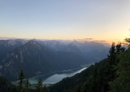 Die zweite und dritte Woche