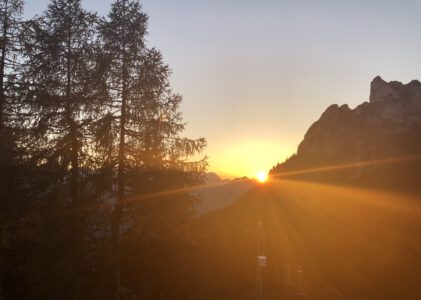 Die dreizehnte und vierzehnte Woche
